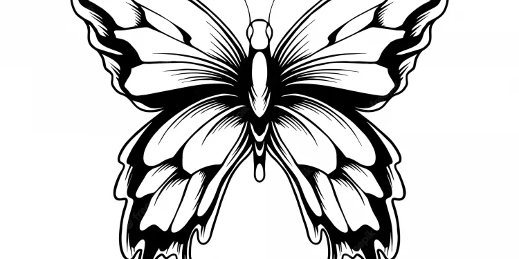 Cute Butterfly Drawing For Kids | Drawing For Kids Tutorial