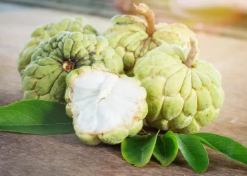 Custard Apple